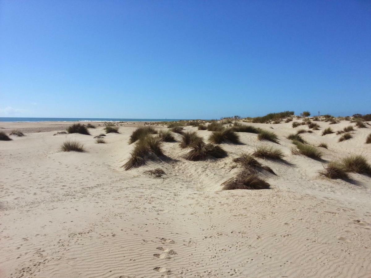 Luminoso Apartamento En Playa Las Redes, Entorno Natural Pinares Y Dunas. Wifi El Puerto de Santa María Eksteriør billede